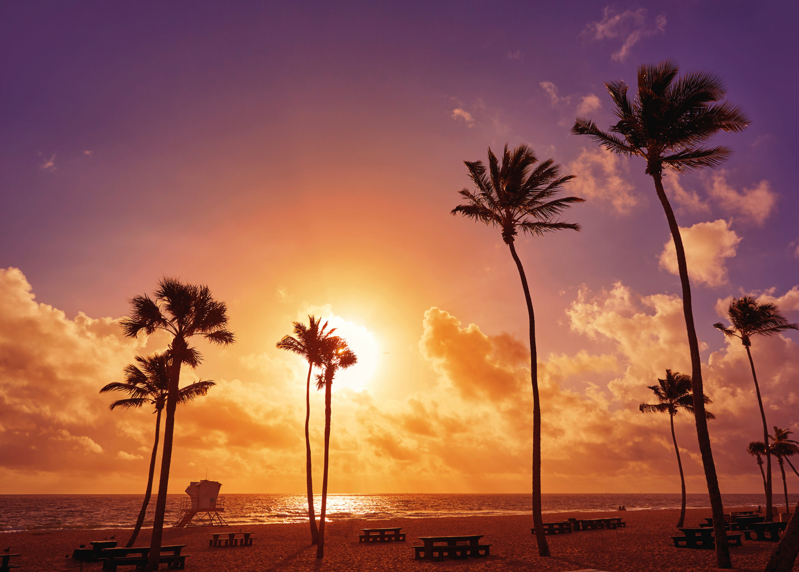 Palm trees at sunset in Fort Lauderdale, Florida
